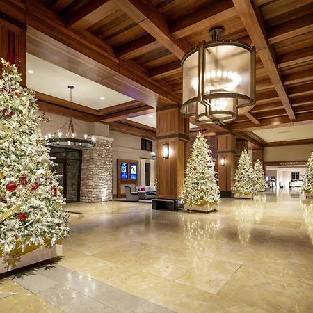 Gaylord Rockies Resort & Convention Center-3